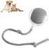 Smart Rolling Pet Ball